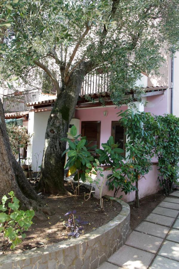 Hotel Santaclara Camerota Exteriér fotografie